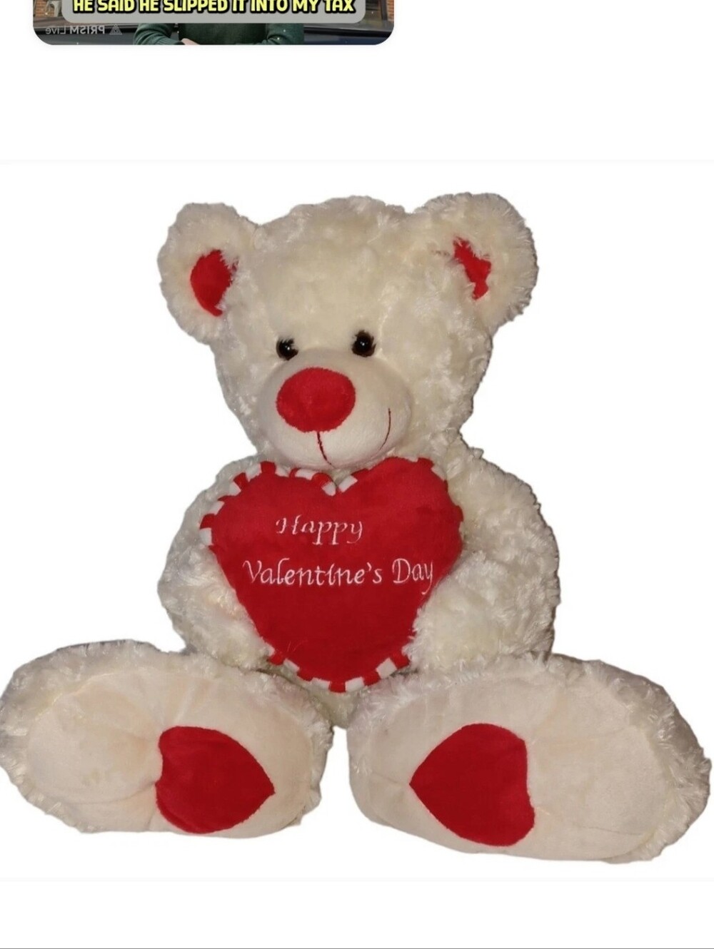 Plush White Teddy Bear with Red Heart - Valentine's Gift